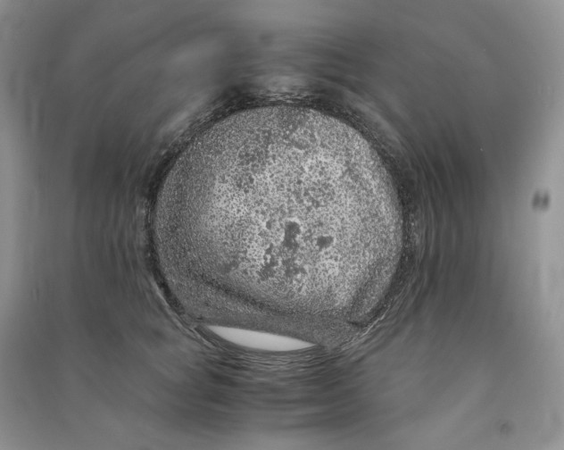 X0000090600757200708141330