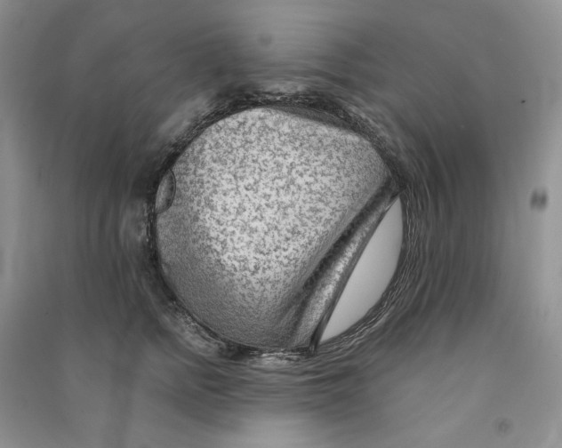 X0000090600758200708141330