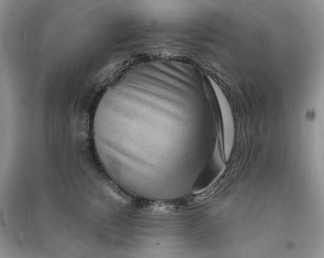 X0000090600760200708141330