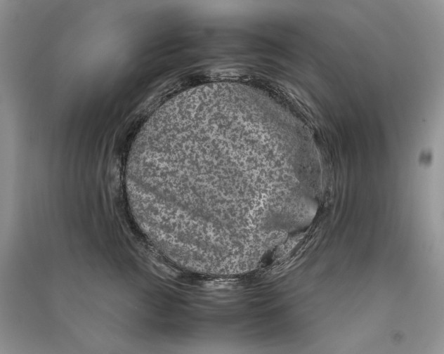 X0000090600761200708141330