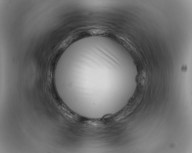 X0000090600763200708141330