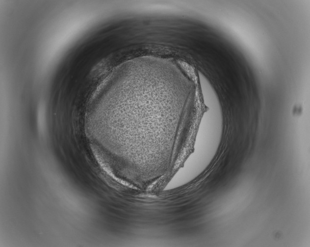 X0000090600765200708141331