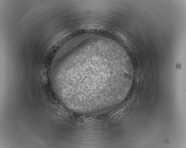 X0000090600774200708141330