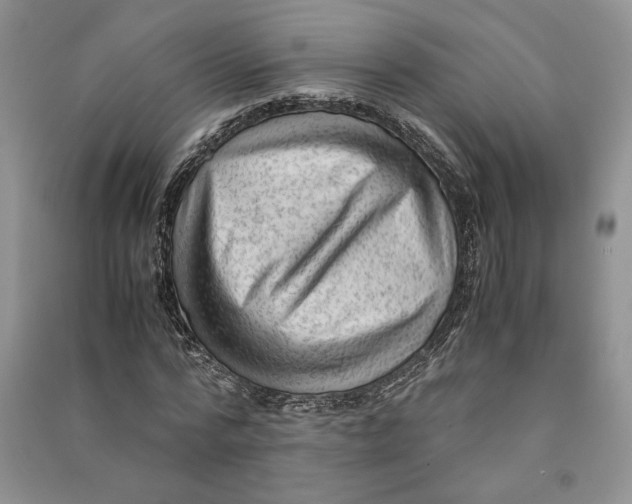 X0000090600776200708141330