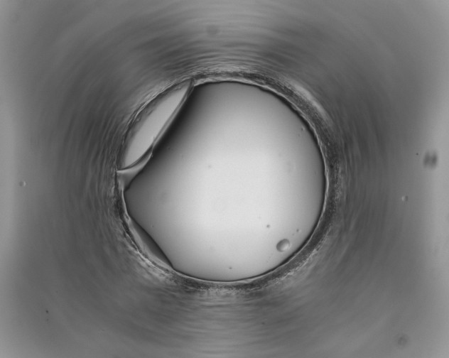 X0000090600777200708141330