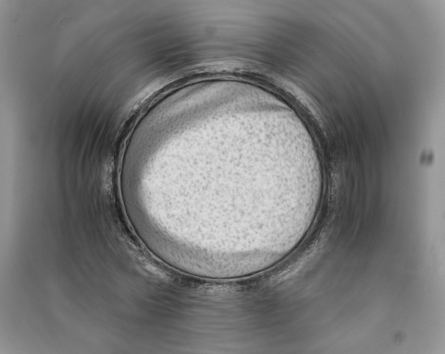 X0000090600778200708141330