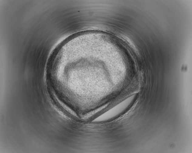 X0000090600780200708141330