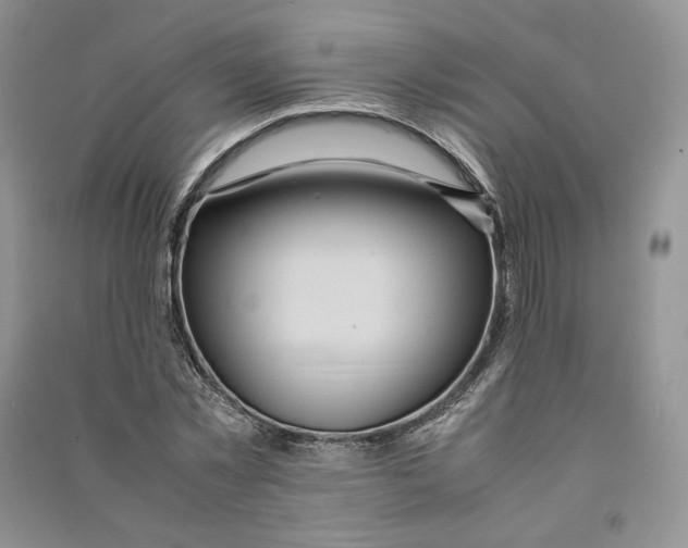 X0000090600781200708141330