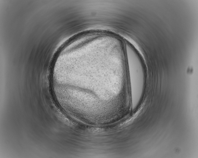 X0000090600783200708141330