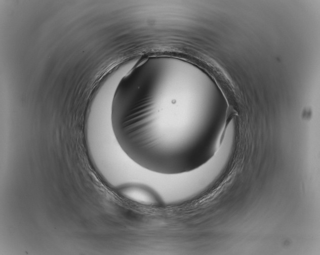 X0000090600785200708141330