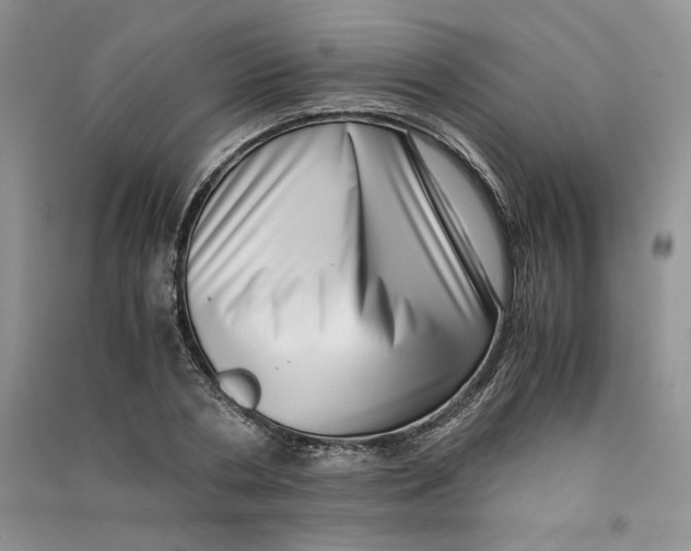 X0000090600786200708141330