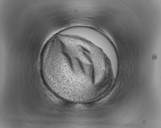 X0000090600787200708141330