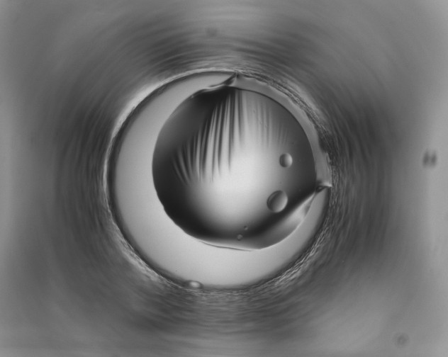 X0000090600788200708141330