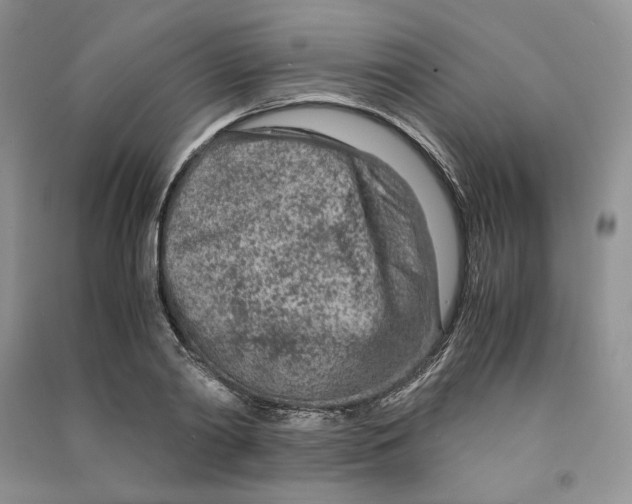 X0000090600790200708141330