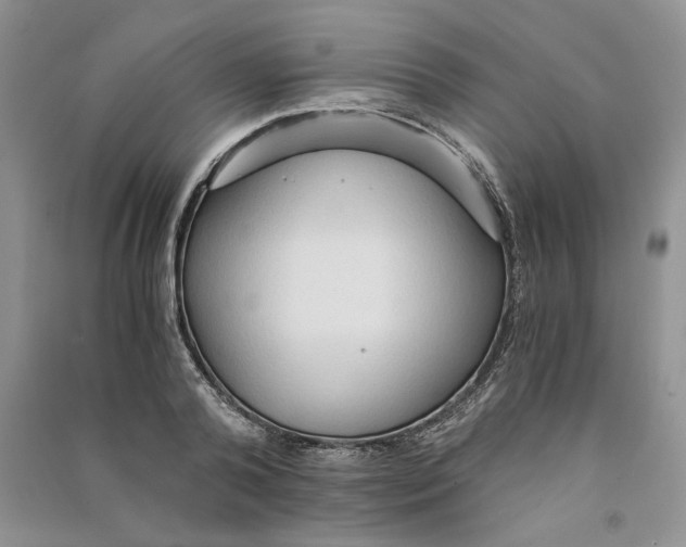 X0000090600792200708141330