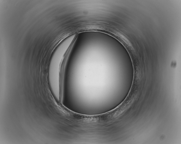 X0000090600793200708141330