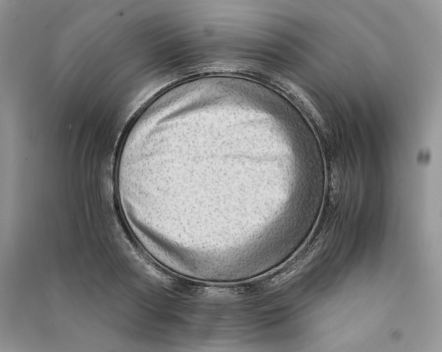 X0000090600794200708141330