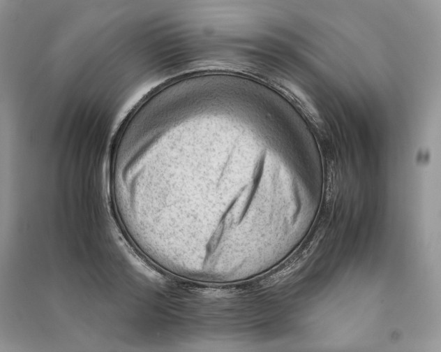 X0000090600796200708141330