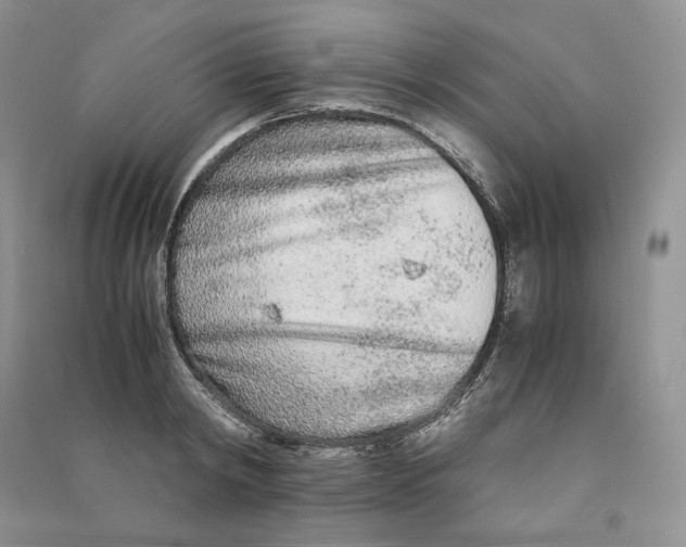 X0000090600798200708141330