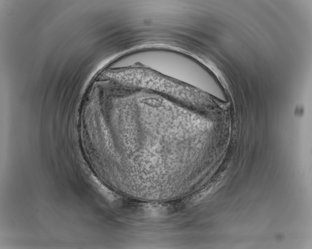 X0000090600799200708141330