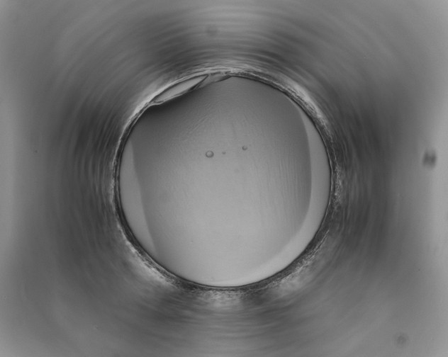 X0000090600802200708141330