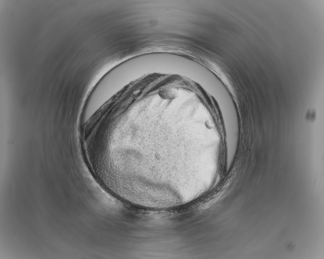 X0000090600803200708141330