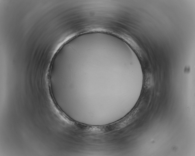 X0000090600806200708141329