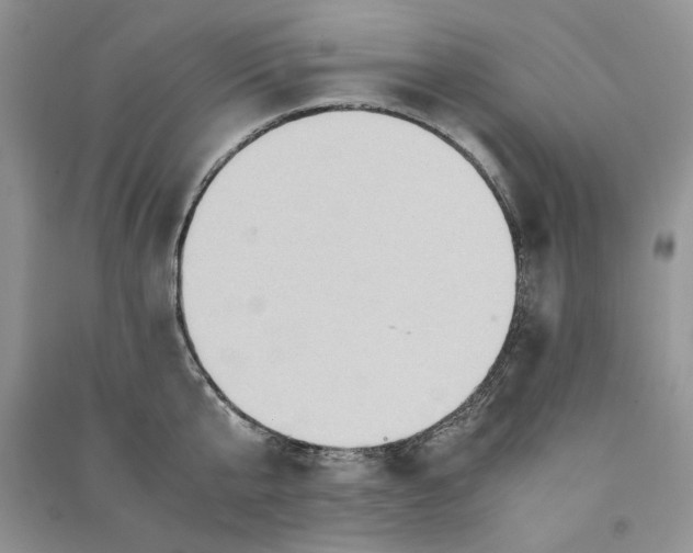 X0000090600807200708141329