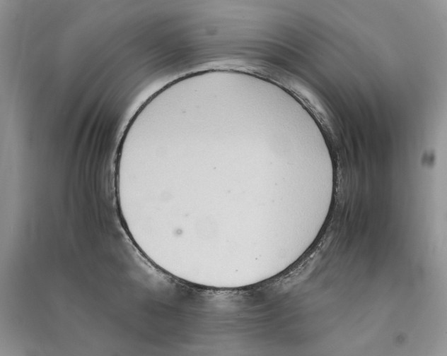 X0000090600808200708141329