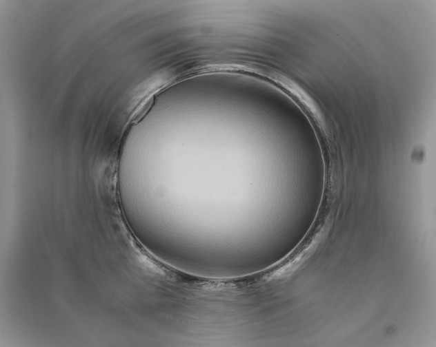 X0000090600809200708141329