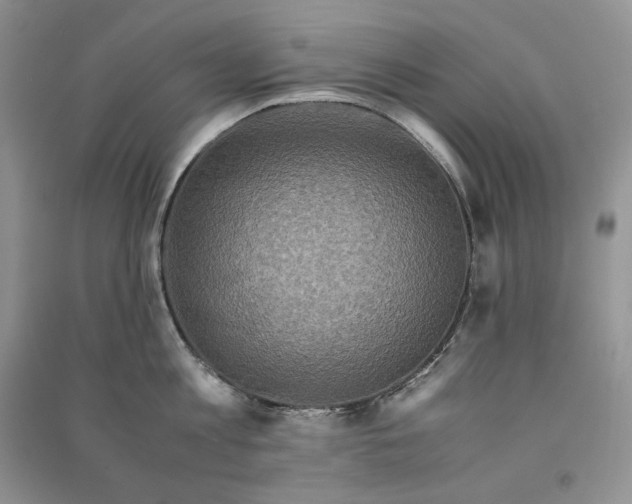 X0000090600813200708141329