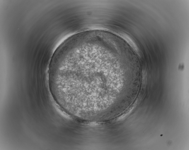 X0000090600814200708141329