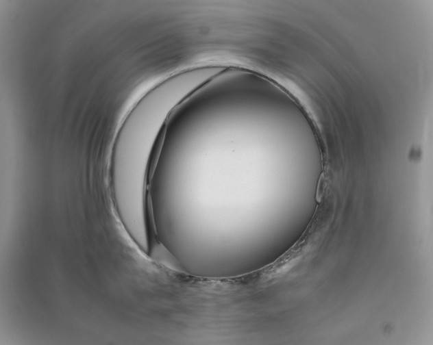 X0000090600815200708141329