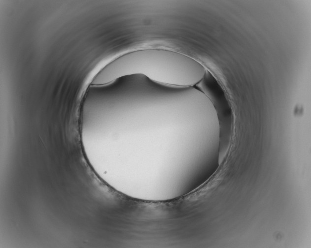 X0000090600816200708141329