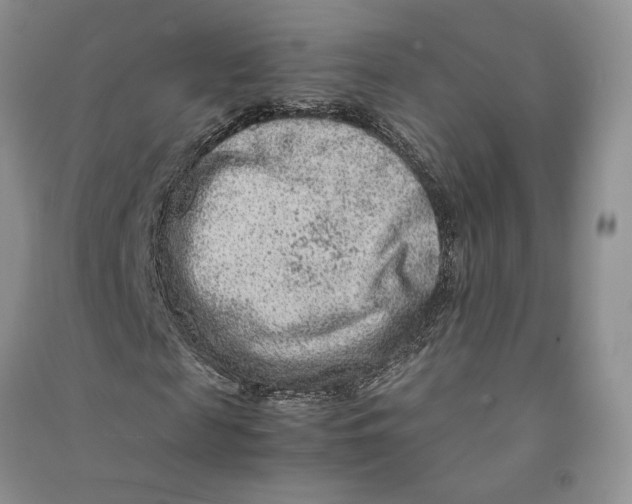 X0000090600817200708141329