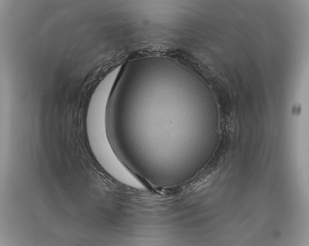 X0000090600818200708141329