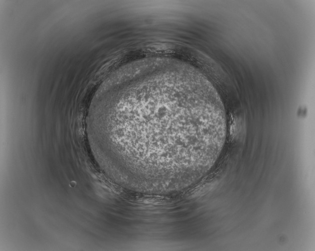 X0000090600819200708141329