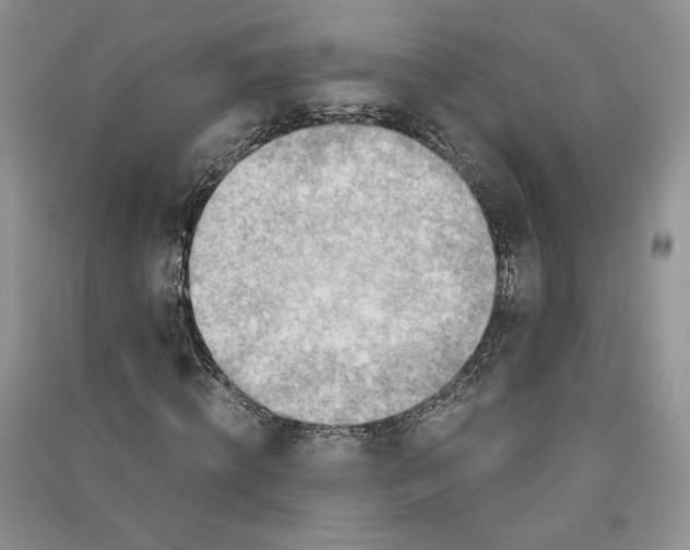 X0000090600820200708141329