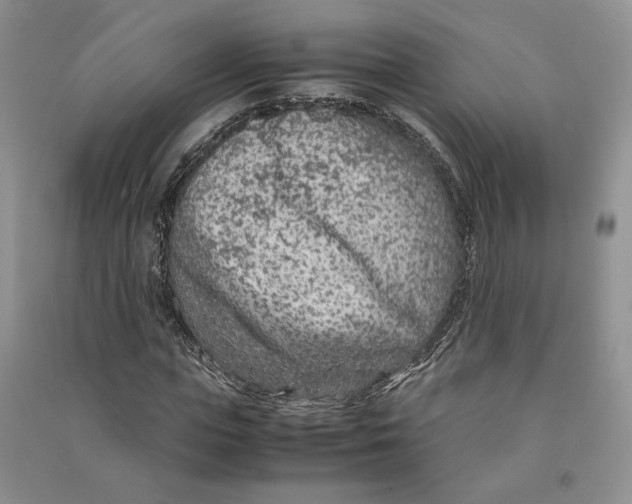 X0000090600823200708141329