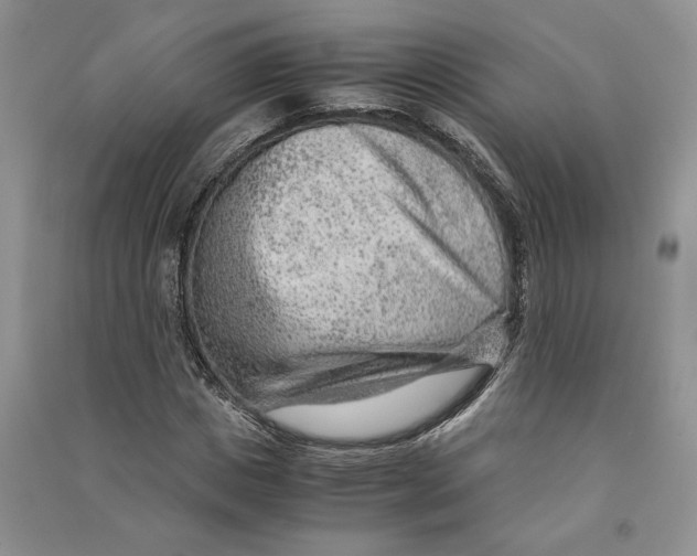 X0000090600825200708141329