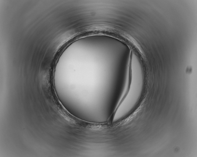 X0000090600826200708141329