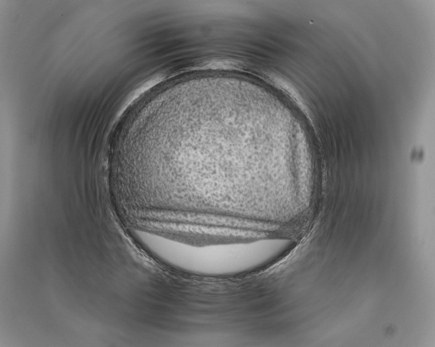 X0000090600827200708141329