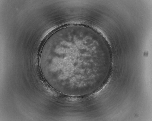 X0000090600829200708141329