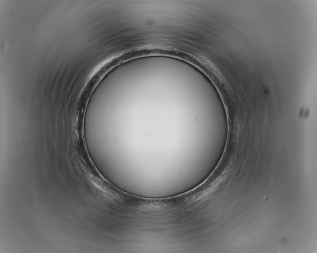 X0000090600830200708141329