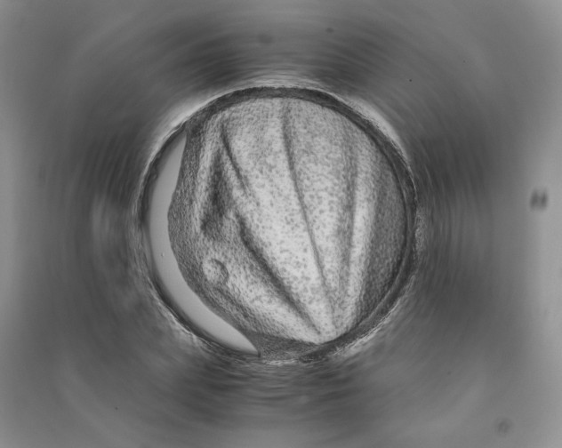 X0000090600831200708141329