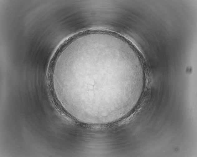 X0000090600832200708141329