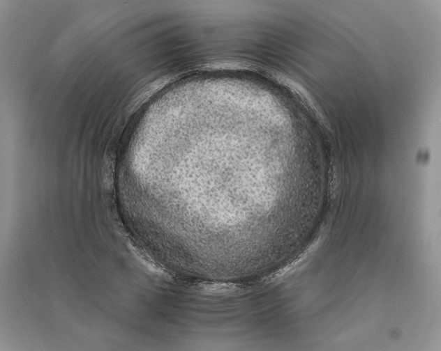 X0000090600833200708141329