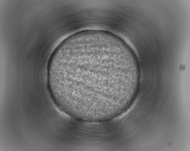 X0000090600837200708141329