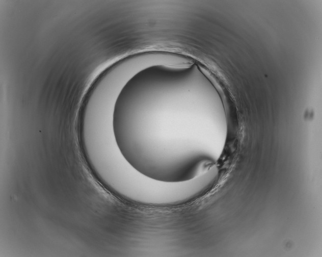 X0000090600838200708141329