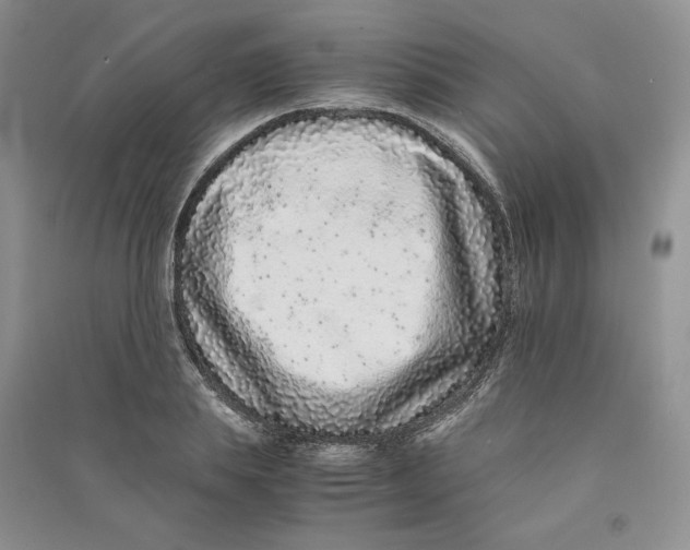 X0000090600839200708141329